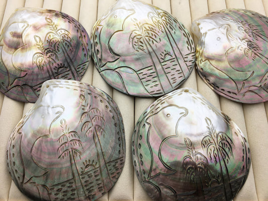 AAA 10cm Carved Tahitian blacklip mother of pearl shell natural cut,One pc,tahitian Oyster,ASH-006-5