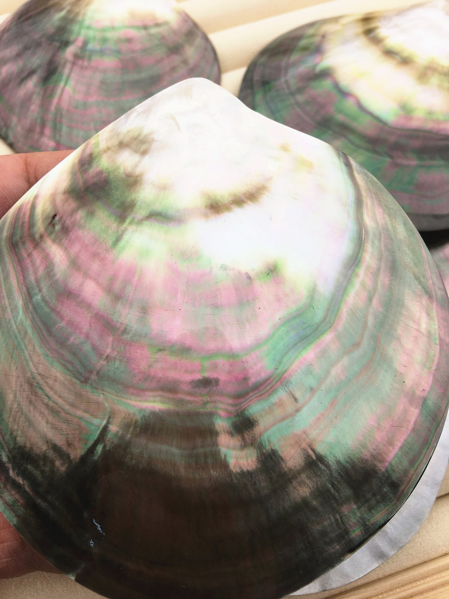 AAA+ big than 9cm Tahitian blacklip mother of pearl shell natural cut,One pc,tahitian Oyster,ASH-006-1