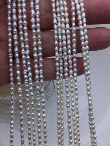 AA 2.5-3mm white rice freshwater pearls,genuine pearl,Cultured pearl,diy pearl beads,LR2-T4