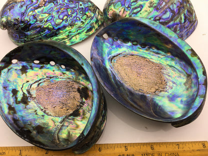 AA+ 12-14cm LARGE Abalone Shell, Ritual Shell, Nautical Decor, Coastal Decor, Beach House Decor, Seashell Decor, Seashells,ASH-015