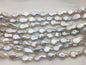 AAA 11-12mm White Drop Coin freshwater pearls,diy bead,flat round pearl bead,COIN12-3A-3-4