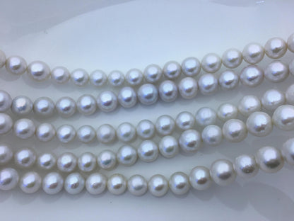 AA+ 10-12mm white near round Edison Freshwater Pearl,ED10-2A-2-68