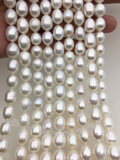 AA+ 9.4-10.4mm*11.5-13mm Oval Freshwater pearls,diy pearl beads,white rice pearl,LR10-2A-7