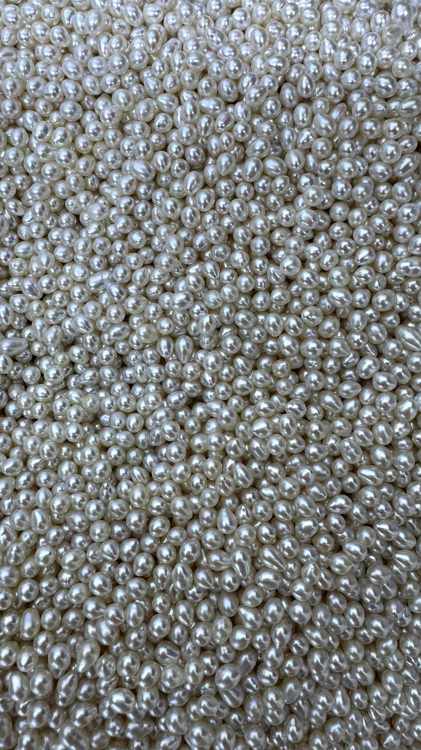 50pcs AAA 4-5mm white rice freshwater pearls,no hole,LR4-T5