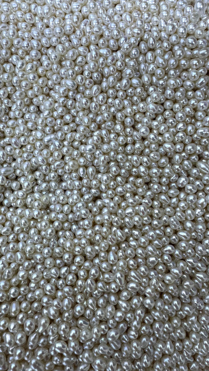 50pcs AAA 4-5mm white rice freshwater pearls,no hole,LR4-T5