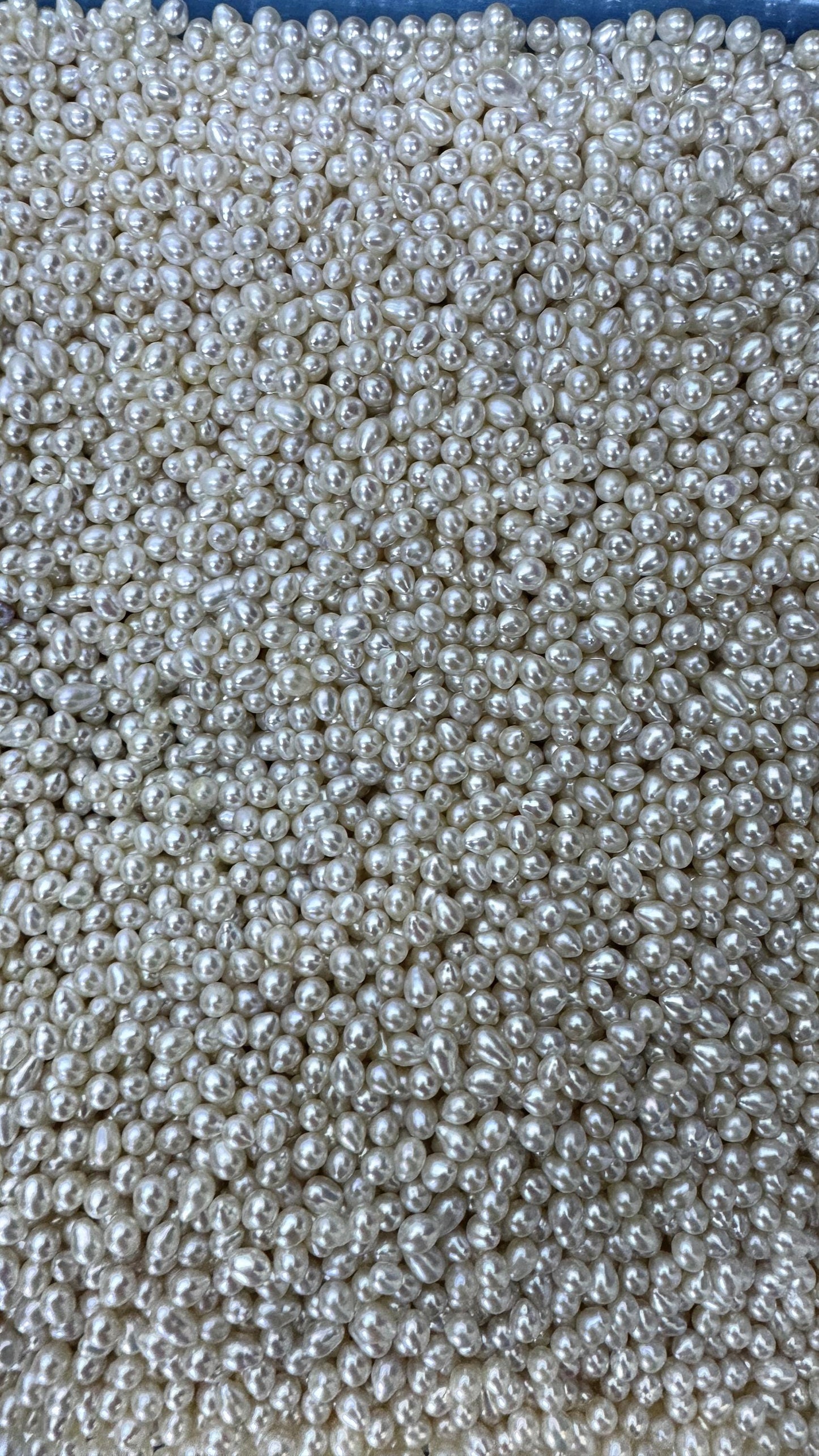 50pcs AAA 4-5mm white rice freshwater pearls,no hole,LR4-T5