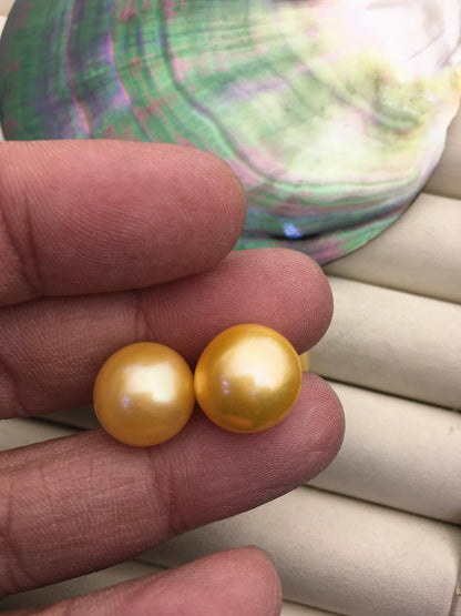 AA+ 13.5-14mm Very Big Yellow Buttom Round Pearl stud earrings,SE1-069-16
