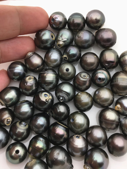 1pc 13-15mm huge big Green Black Tahitian Pearl Choker Necklace,Pearl Leather Necklace,Black Leather Pearl necklace,Le11-005