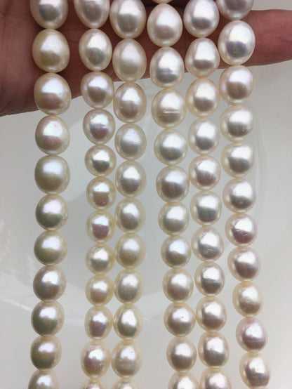 AA+ 9.3-10.2mmx10-11.5mm white oval freshwater pearls,Christmas,Valentine's Day gift,for pearl necklace,Love,Happiness,LR10-2A-8