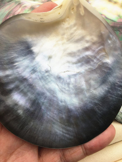 AAA+ big than 9cm Tahitian blacklip mother of pearl shell natural cut,One pc,tahitian Oyster,ASH-006-1