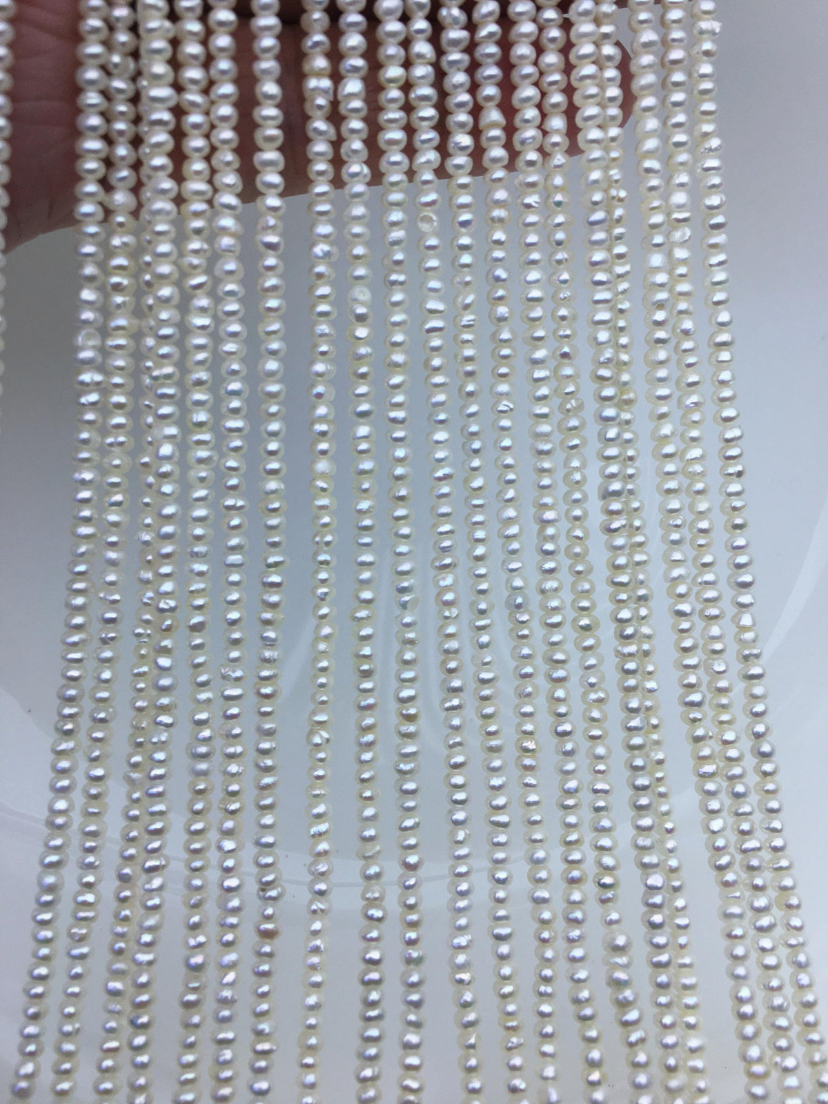 AA+ 2.5-3mm tiny white button pearls,full strand,Rondelle pearl Beads,white freshwater pearl,loose strands,SM2-2A-1