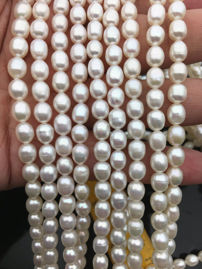 AA+ 5.7-6.3mm*7-7.6mm white oval rice freshwater pearls,diy pearl beads,gift for her,Christmas,LR6-2A-2