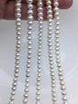 AAA 5.5-6.5mm white button pearls,Rondelle pearl Beads,loose strands,SM6-T14