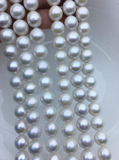 AA 11-13mm white big round Edison Freshwater Pearl,ED12-2A-5-69