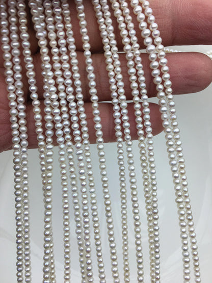 AA+ 2.5-3mm white seed pearls,white potato freshwater pearl,Valentine's Day gift,for pearl necklace,loose freshwater pearl,CR2-2A-1