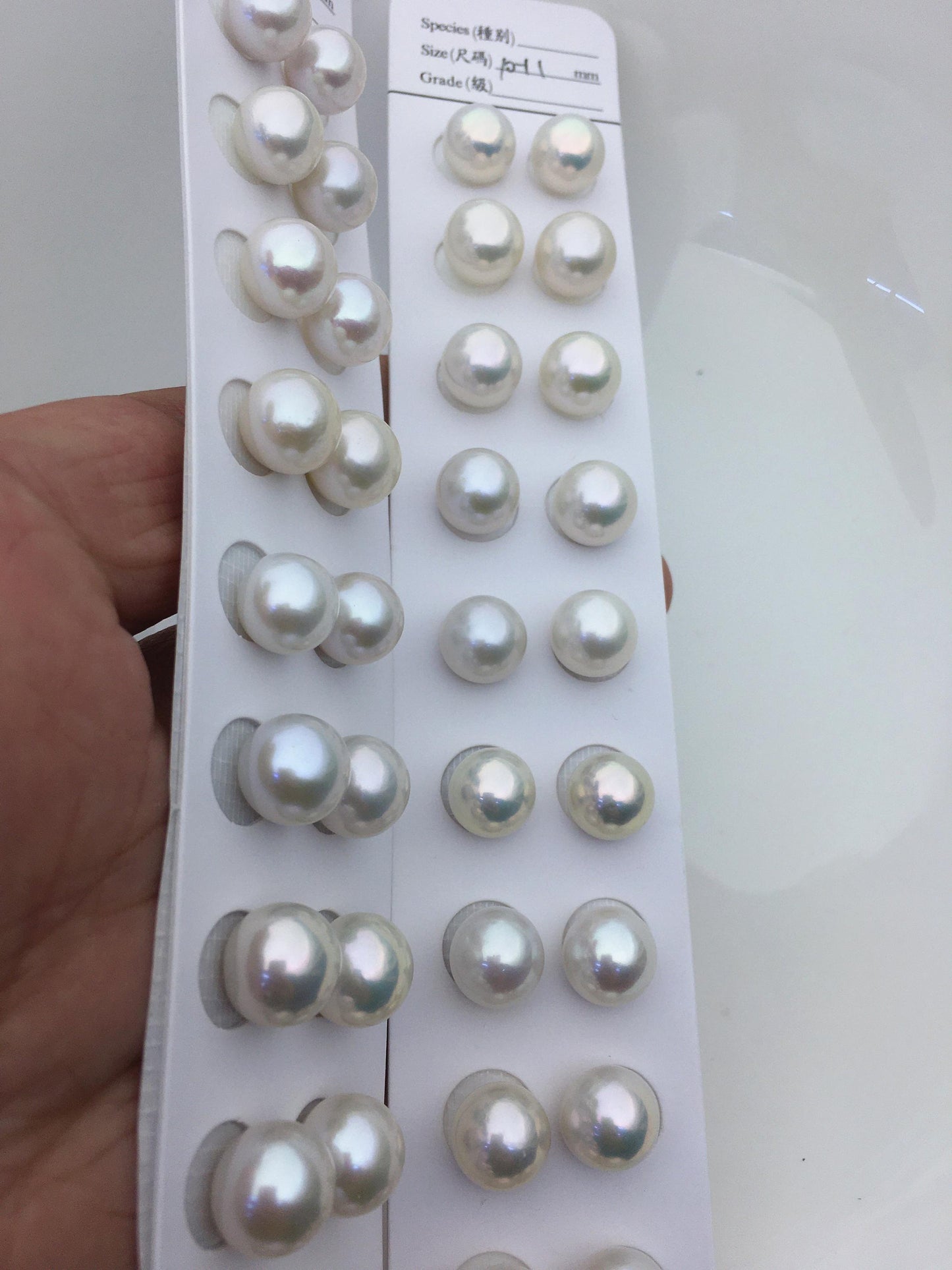 5 pairs AAA- 10-11mm white round freshwater pearls pair,no hole,RP10-3A-6