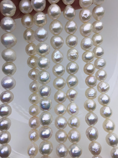 AA+ 9-11mm white near round Edison Freshwater Pearl,ED12-2A-5-24