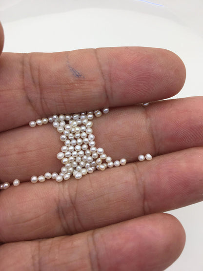 100pcs AAA/AA+ 2-2.2mm white button potato seed freshwater pearls,no hole,RP2-T1