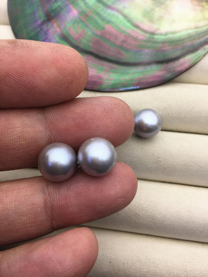 1 pair AAA 11-12mm gray round edison pearl stud earrings,SE3-T9-22