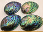 AAA 12-13cm LARGE Abalone Shell, Ritual Shell, Nautical Decor, Coastal Decor, Beach House Decor, Seashell Decor, Seashells,ASH-012