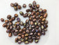 20pcs AAA 6-7mm Brown Keshi freshwater pearls,no hole,ZS-127-35