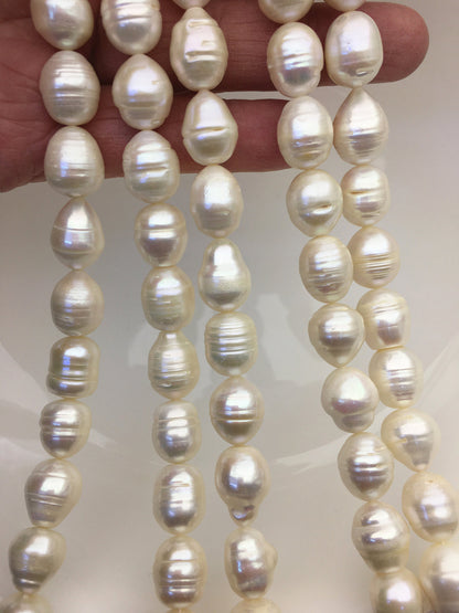 AA 11.4-12.2mm white circled Freshwater pearls,Cultured white freshwater pearls beads,LR12-2A-1