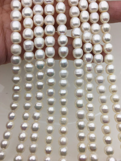 2 strands AA 6.3-7.2mm*6.5-7.5mm white rice pearls,for pearl necklace,for pearl earrings,LR7-2A-2