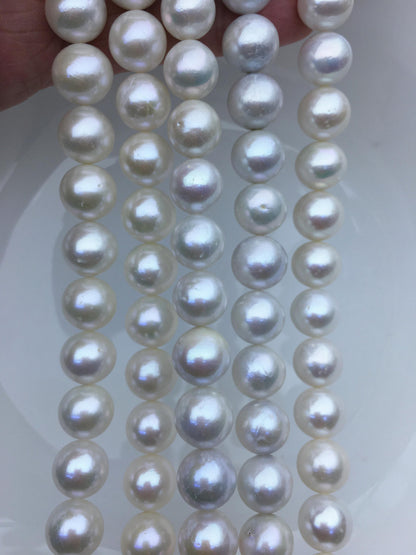 AA 11-13mm white big round Edison Freshwater Pearl,ED12-2A-5-62