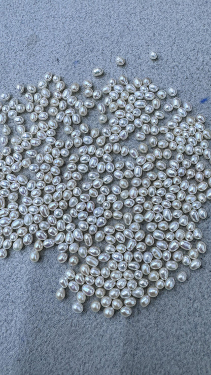 50pcs AAA 3.5-4 white rice freshwater pearls,no hole,LR3-T3