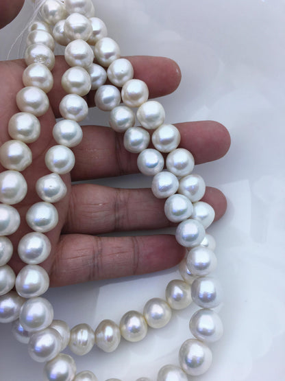 AA+ 11-13mm white button round Edison Freshwater Pearl,ED12-2A-5-25