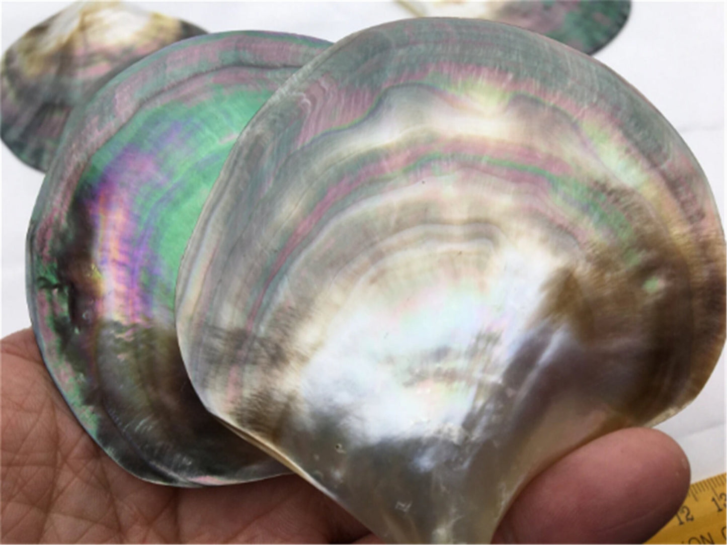 AAA big than 9cm Tahitian blacklip mother of pearl shell natural cut,One pc,tahitian Oyster,ASH-006-2