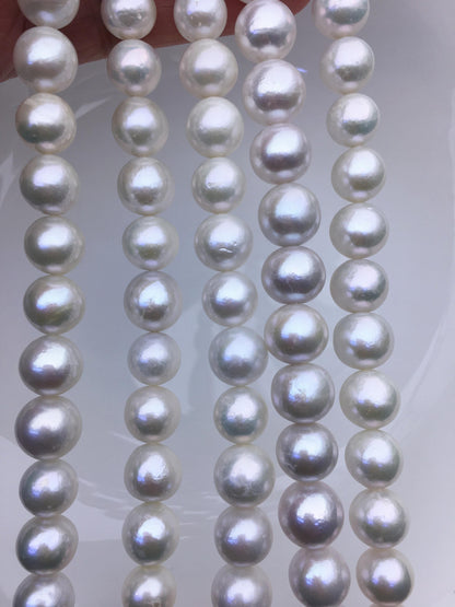 AA+ 10-12mm white near round Edison Freshwater Pearl,ED10-2A-2-68