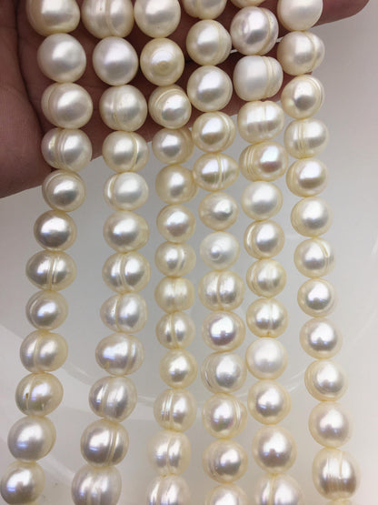 AA 10.3-11.3mm white circle ring potato freshwater pearls,CR11-2A-4