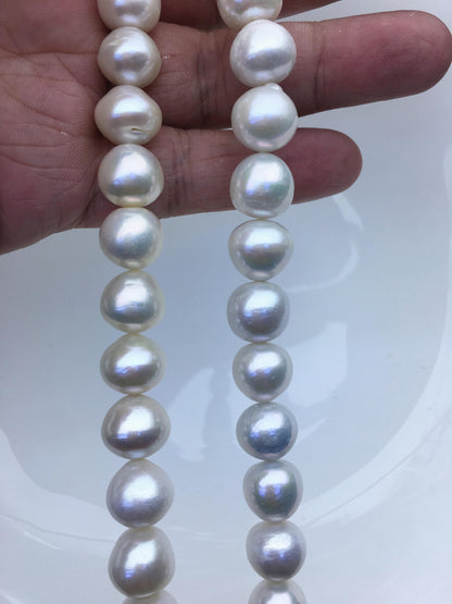 AA+ 11-13mm white button round Edison Freshwater Pearl,ED12-2A-5-25