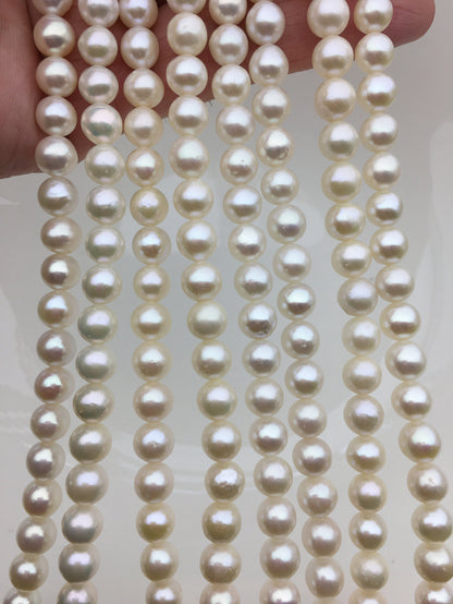 AA+ 6.4-7.3mm white round freshwater chinese pearls,RP7-2AY-BDa-1