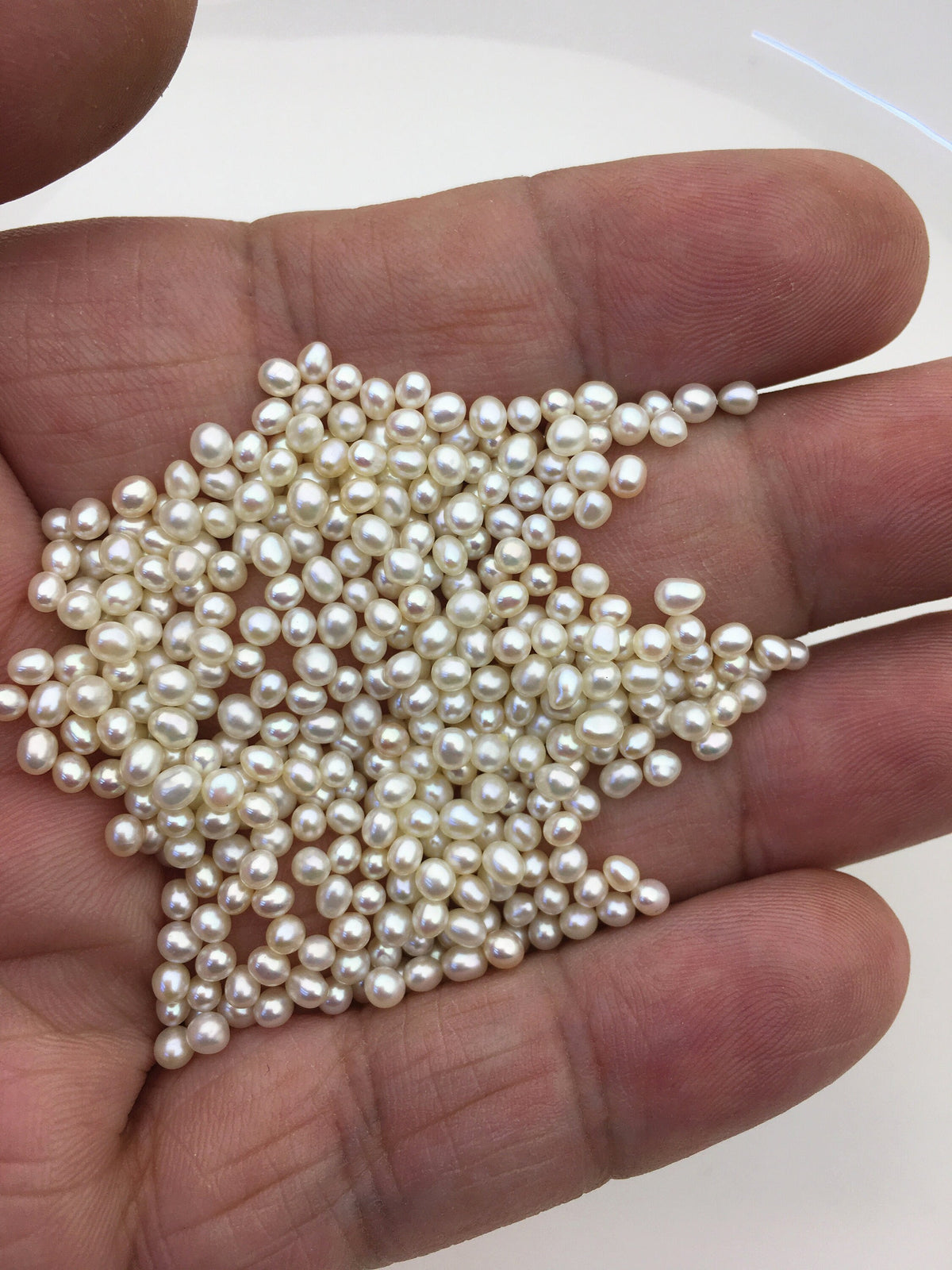 50pcs AAA 2.5-3mm white rice pearls,oval loose pearl beads,no hole,LR2-3A-6