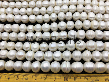 AA 11.2-12.2mm white button freshwater pearls,2mm,3mm large hole,Cultured pearl,diy pearl beads,gift for her,necklace,Christmas,SM12-2A-6
