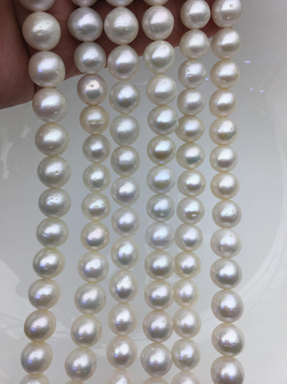 AA 9-11mm white round freshwater pearls,RP9-2A-1