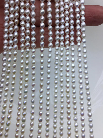 AAA 3.5-4x4-5mm white short rice pearls,full strand,oval loose pearl beads,diy pearl beads,genuine pearl,Cultured pearl,LR3-3A-33