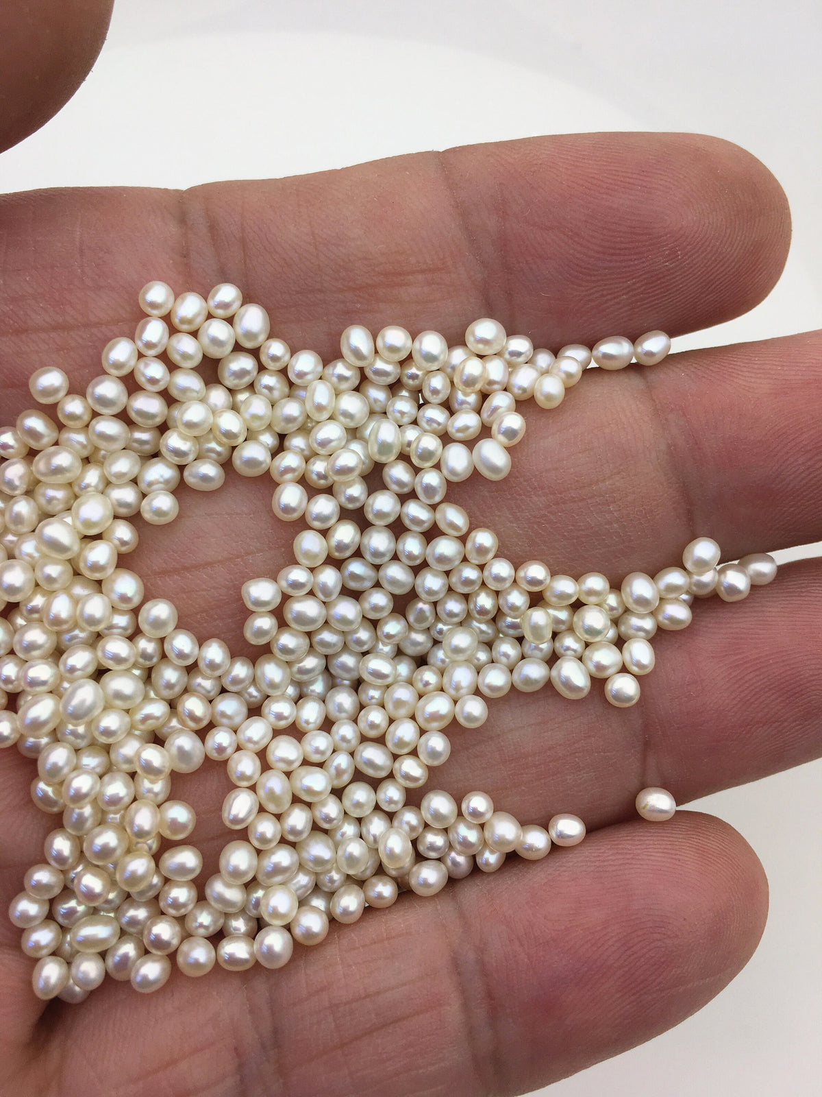50pcs AAA 2.5-3mm white rice pearls,oval loose pearl beads,no hole,LR2-3A-6