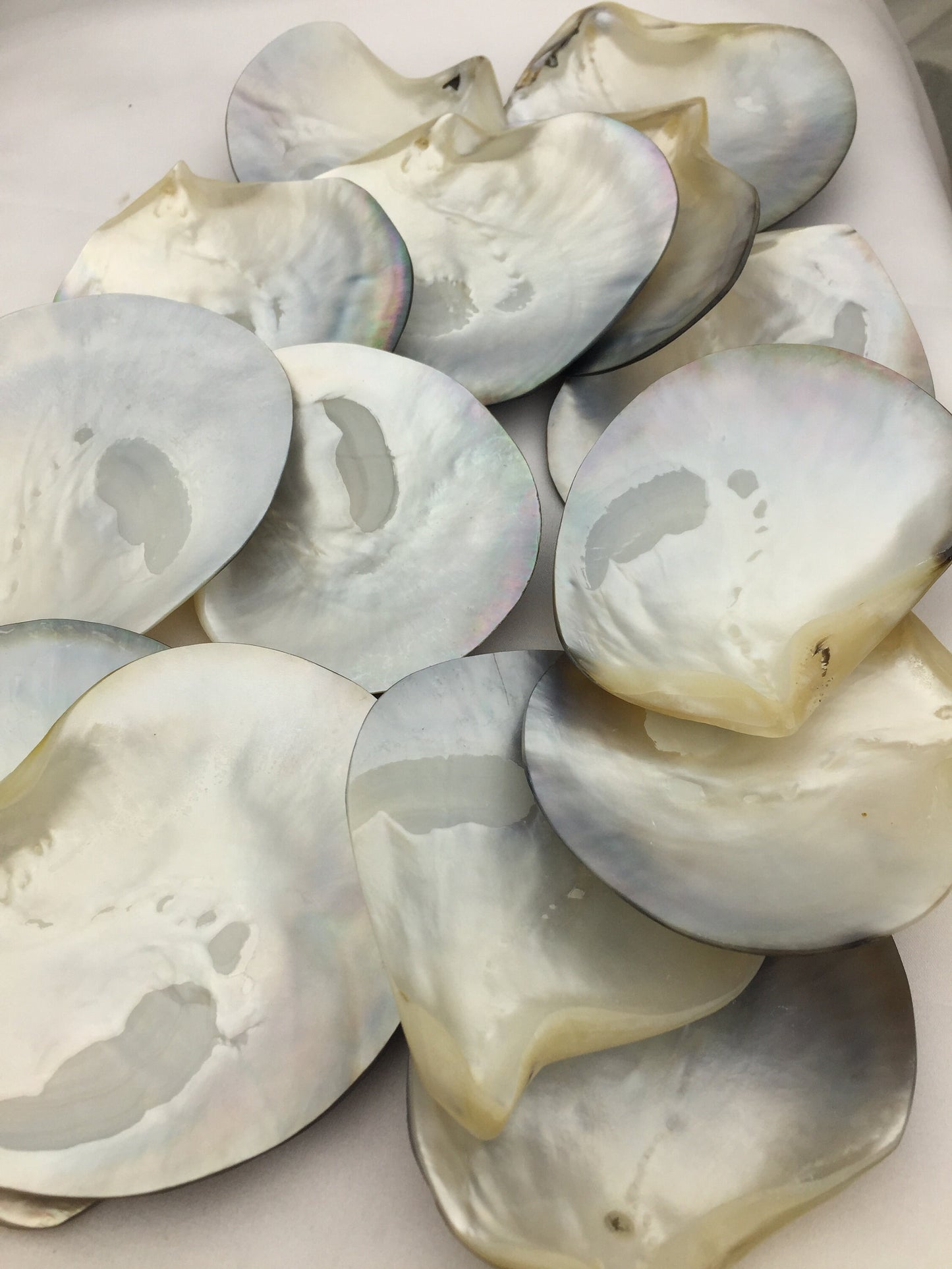 AAA big than 9cm Tahitian blacklip mother of pearl shell natural cut,One pc,tahitian Oyster,ASH-006-2