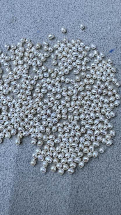 50pcs AAA 3.5-4 white rice freshwater pearls,no hole,LR3-T3