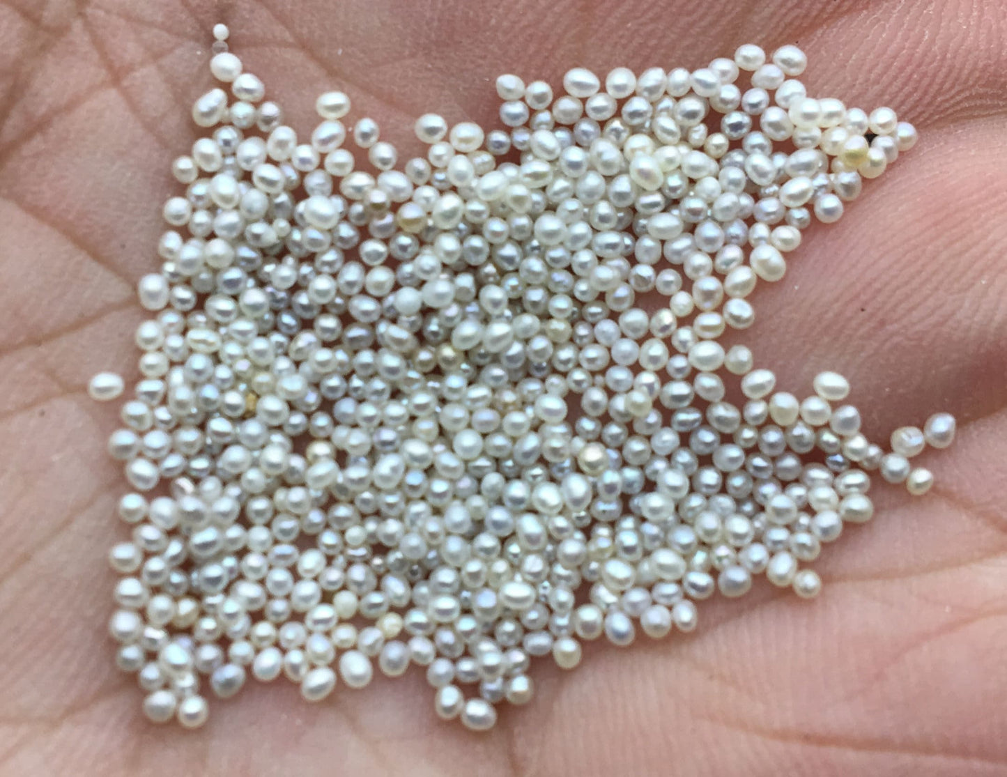 Rare!10pcs AAA 1-1.3/1.4-1.5mm natural gray near round freshwater seed pearls,no hole,Cultured pearl,diy pearl beads,RP1-3A-15