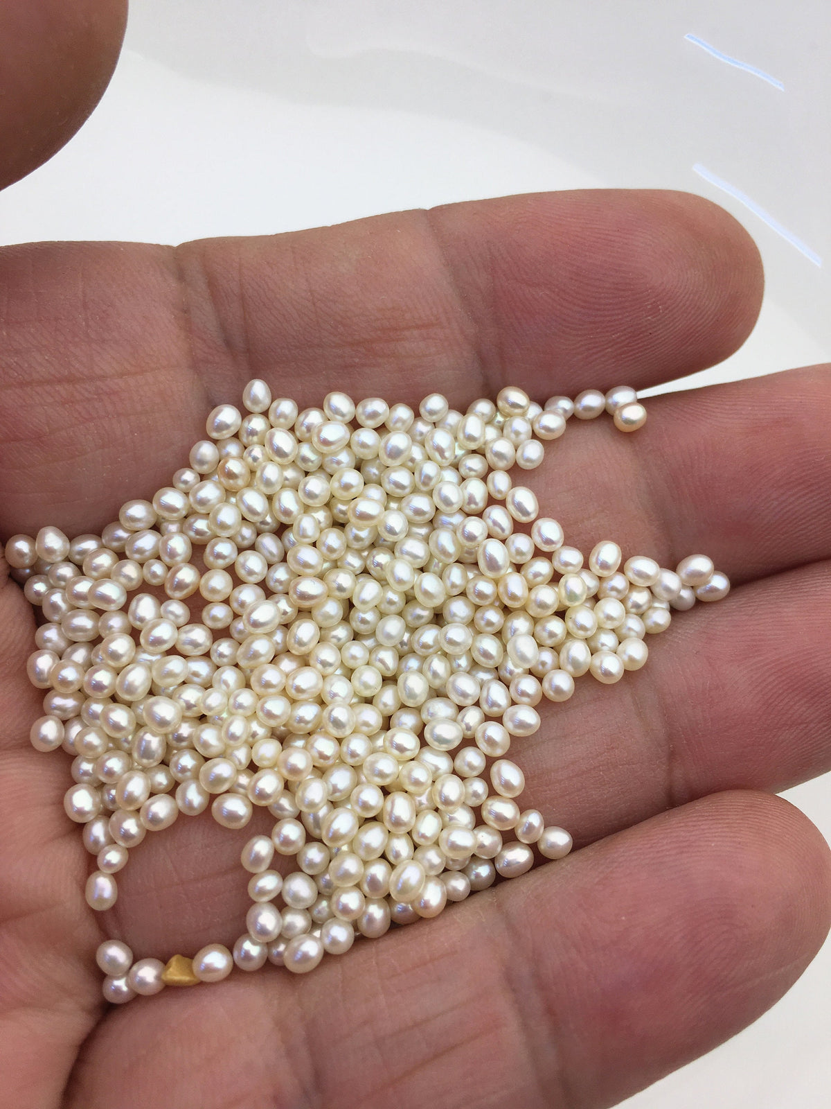 50pcs AAA 2.5-3mm white rice pearls,oval loose pearl beads,no hole,LR2-3A-6