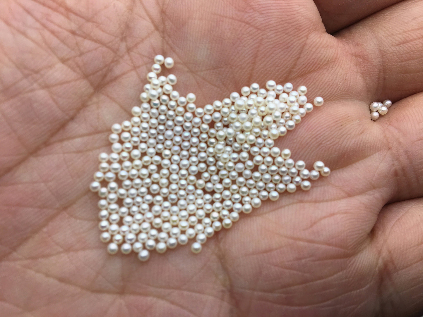 5pcs AAAA 1.5-1.7mm white round freshwater seed pearls,no hole,,Cultured pearl,diy pearl beads,Happiness,birthday,RP1-4A-3