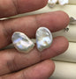 Rare!AAA 10/11/12/13/14/15mm BIG white Natural Long keshi Freshwater Pearl Stud Earrings,Stud Earrings for Women Girls,SE3-062