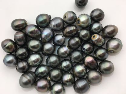 11-13mm big Single Drop Green Black Tahitian pearl Leather Cord bracelet,SELECT leather color, Pearl Leather bracelet,Le10-006