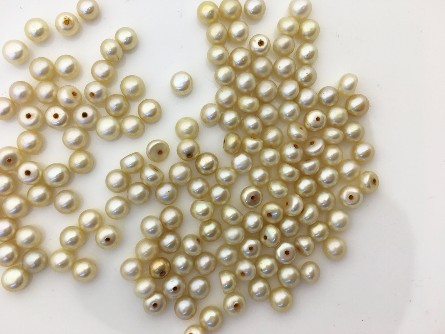 30pcs AAA 5-5.5mm light yellow button round freshwater pearl,0.9mm half hole,BTN5-T2