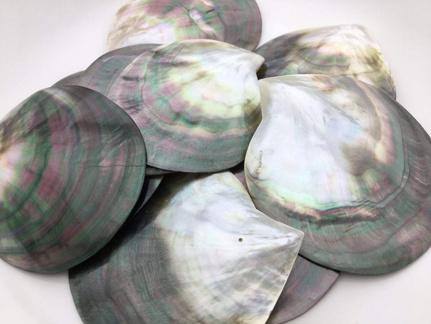 Big 9cm UP AA+ Tahitian black lip mother of pearl shell,ASH-006-4
