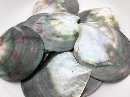 Big 9cm UP AA+ Tahitian black lip mother of pearl shell,ASH-006-4